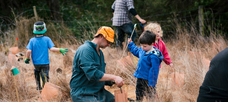 WEB Planting Port Levy Sep2015 small 8488